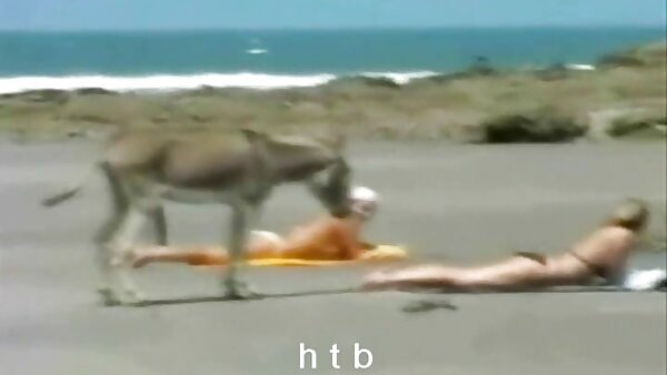 Hardcore-Doggystyle-Sex word porno mit würziger brünetter Tussi